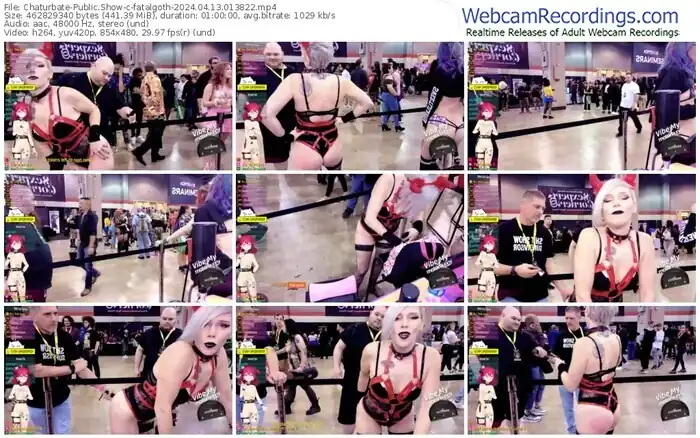 2024/04/13/chaturbate-fatalgoth-01-38-22