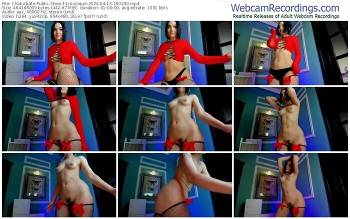 2024/04/13/chaturbate-1munique-16-02-30