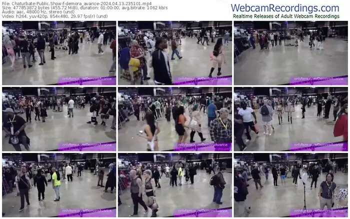 2024/04/13/chaturbate-demora_avarice-23-51-01