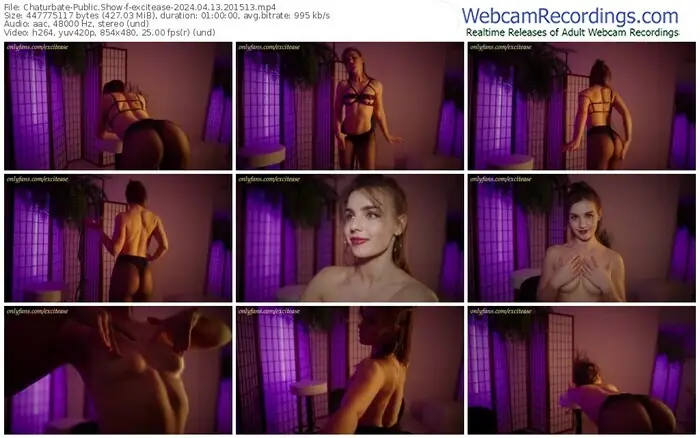 2024/04/13/chaturbate-excitease-20-15-13