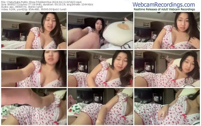 2024/04/13/chaturbate-hiddenr0se-01-56-23