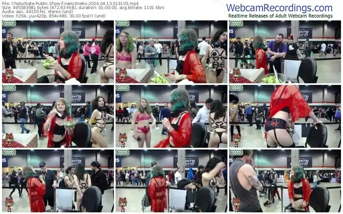 2024/04/13/chaturbate-nami3neko-01-31-03