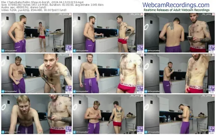 2024/04/13/chaturbate-borsh_-01-01-53