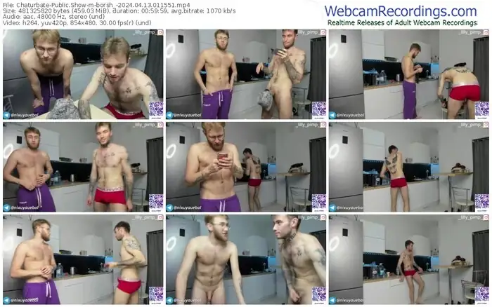 2024/04/13/chaturbate-borsh_-01-15-51