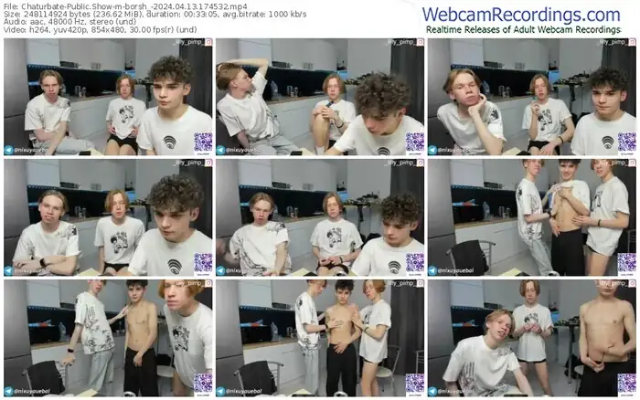 2024/04/13/chaturbate-borsh_-17-45-32