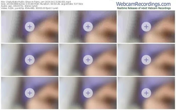 2024/04/13/chaturbate-harry_jen-08-10-01