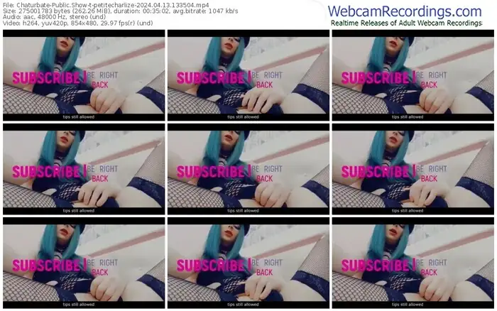 2024/04/13/chaturbate-petitecharlize-13-35-04