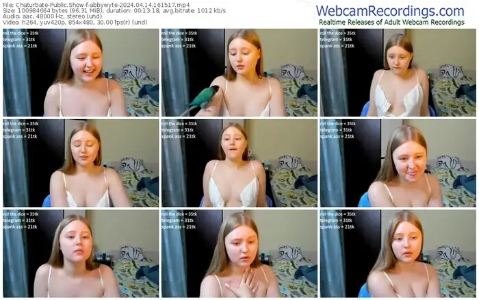 2024/04/14/chaturbate-abbywyte-16-15-17