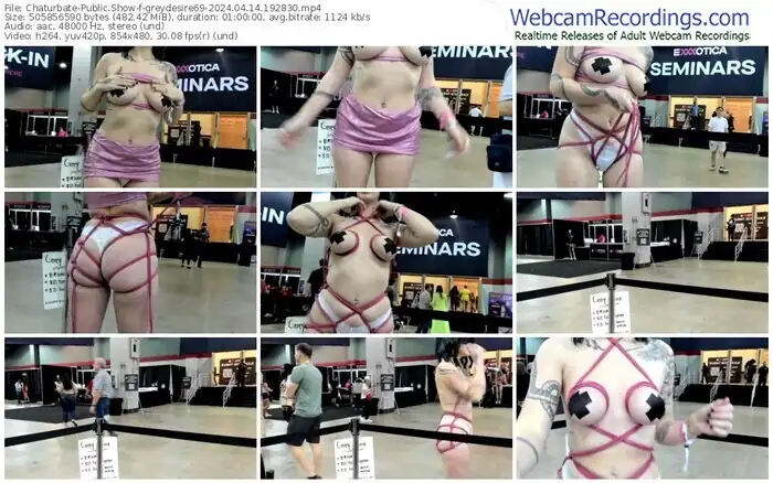 2024/04/14/chaturbate-greydesire69-19-28-30