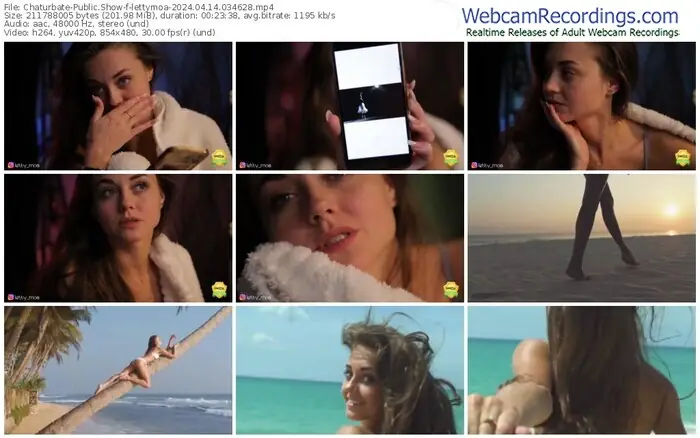 2024/04/14/chaturbate-lettymoa-03-46-28