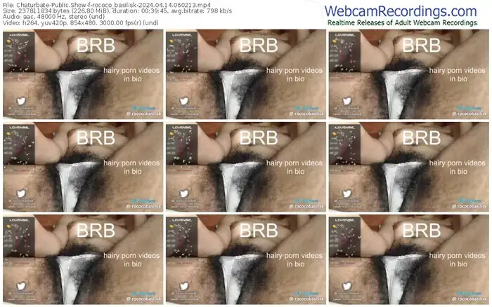 2024/04/14/chaturbate-rococo_basilisk-06-02-13