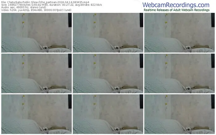 2024/04/14/chaturbate-the_partisan-08-34-35
