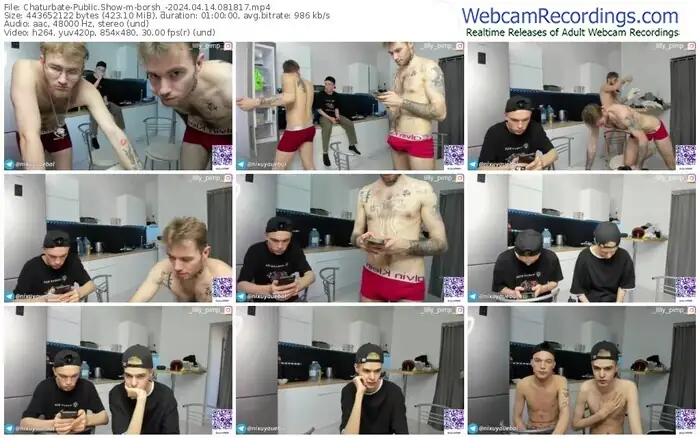 2024/04/14/chaturbate-borsh_-08-18-17