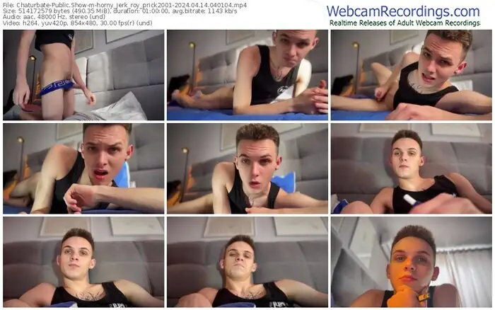 2024/04/14/chaturbate-horny_jerk_roy_prick2001-04-01-04