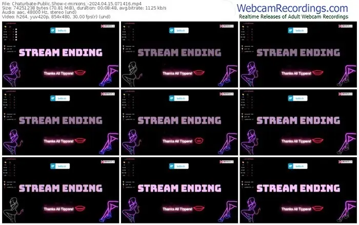 2024/04/15/chaturbate-minions_-07-14-16