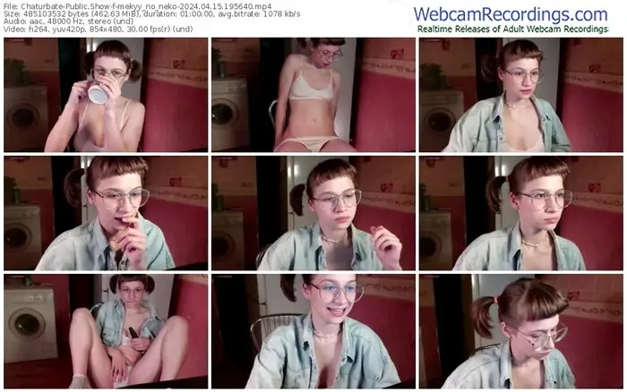 2024/04/15/chaturbate-mekyy_no_neko-19-56-40