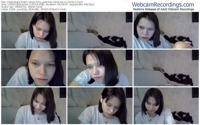 2024/04/15/chaturbate-the_partisan-20-16-17