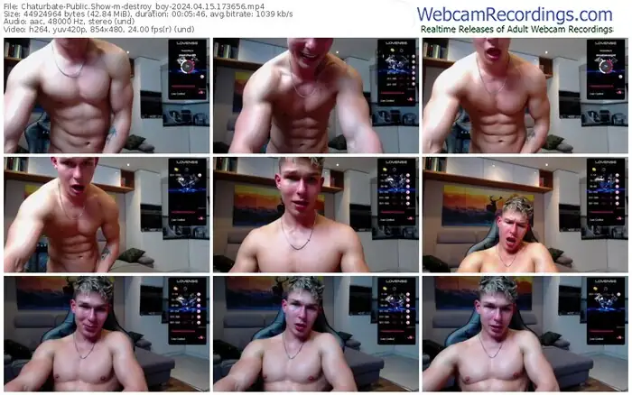 2024/04/15/chaturbate-destroy_boy-17-36-56
