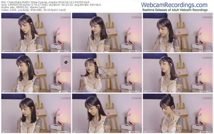 2024/04/16/chaturbate-janne_maybe-19-41-59