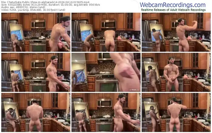 2024/04/16/chaturbate-alphazack14-01-56-05