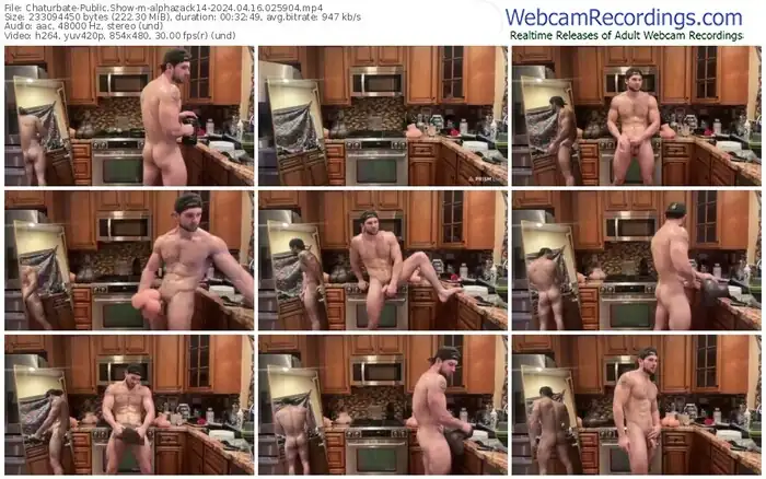 2024/04/16/chaturbate-alphazack14-02-59-04