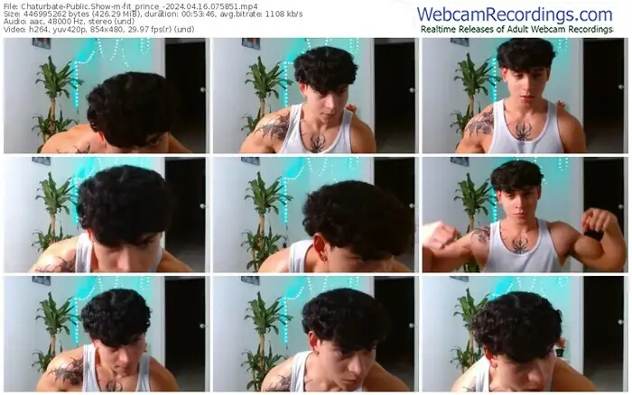 2024/04/16/chaturbate-fit_prince_-07-58-51