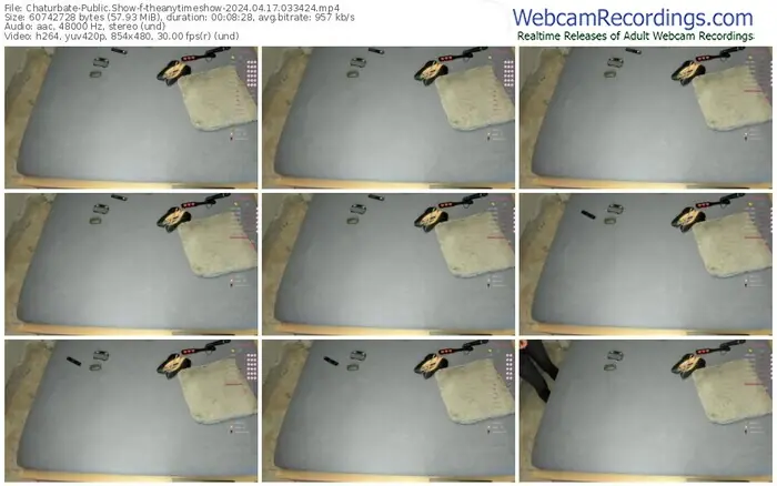 2024/04/17/chaturbate-theanytimeshow-03-34-24