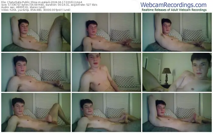 2024/04/17/chaturbate-ealexk-03-16-12