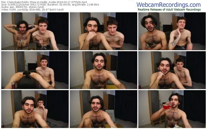 2024/04/17/chaturbate-teddy_mode-07-55-26