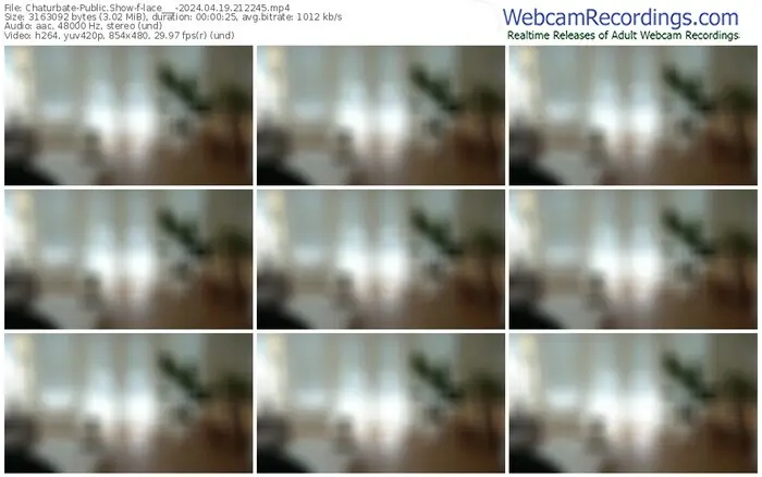 2024/04/19/chaturbate-lace___-21-22-45