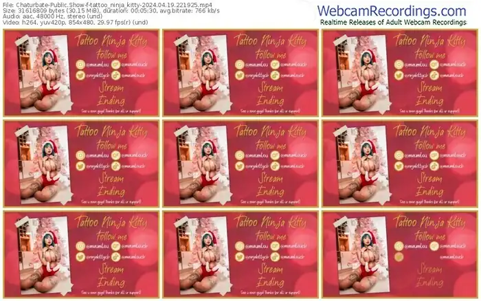 2024/04/19/chaturbate-tattoo_ninja_kitty-22-19-25