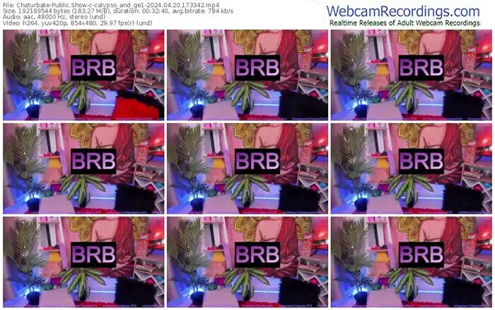 2024/04/20/chaturbate-calypso_and_ge1-17-33-42