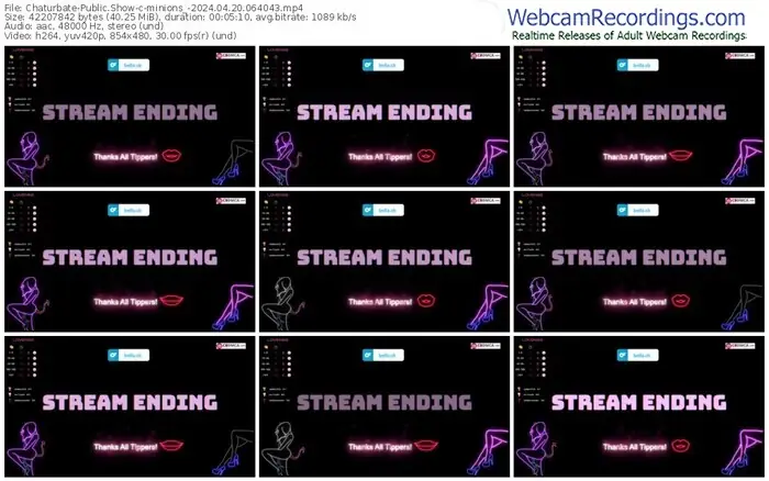 2024/04/20/chaturbate-minions_-06-40-43