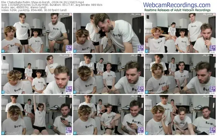 2024/04/20/chaturbate-borsh_-13-34-23