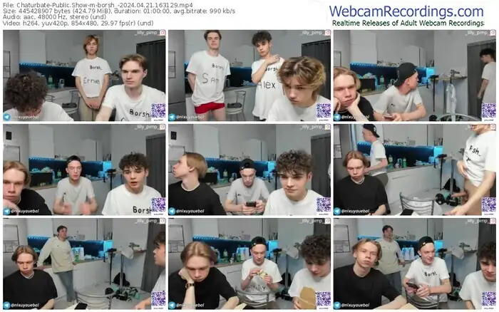 2024/04/21/chaturbate-borsh_-16-31-29