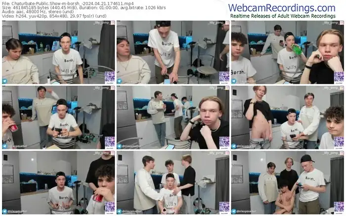 2024/04/21/chaturbate-borsh_-17-46-11