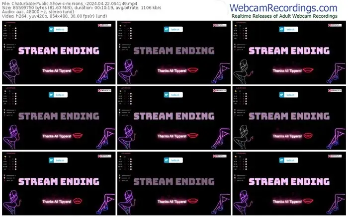 2024/04/22/chaturbate-minions_-06-41-49