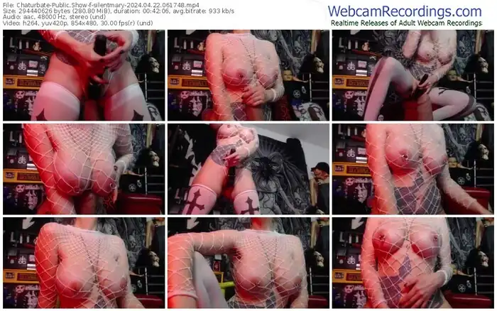 2024/04/22/chaturbate-silentmary-06-17-48