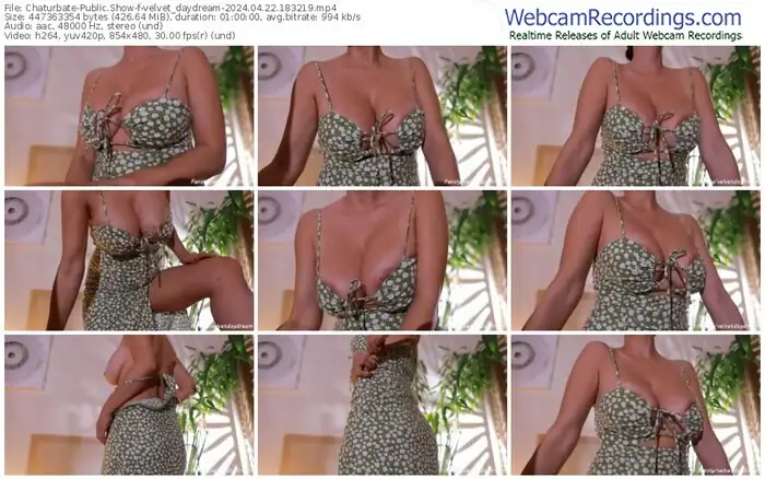 2024/04/22/chaturbate-velvet_daydream-18-32-19