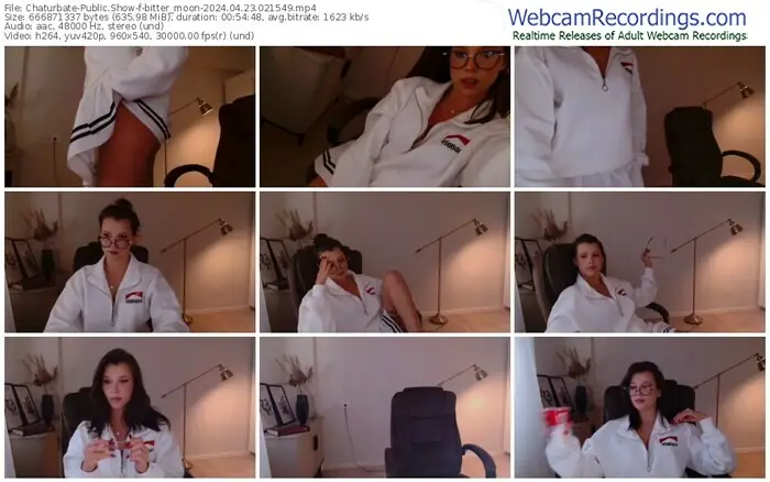 2024/04/23/chaturbate-bitter_moon-02-15-49