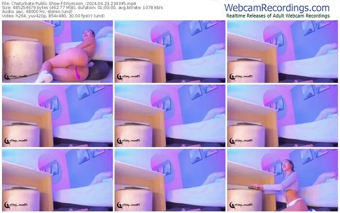 2024/04/23/chaturbate-tinymoon_-23-43-45