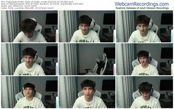 2024/04/23/chaturbate-teddy_mode-20-18-29