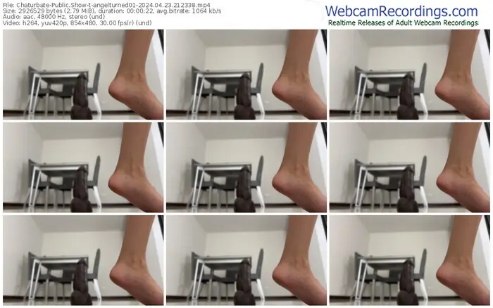 2024/04/23/chaturbate-angelturned01-21-23-38