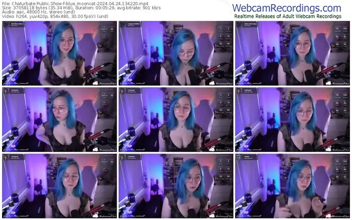 2024/04/24/chaturbate-blue_mooncat-13-42-20