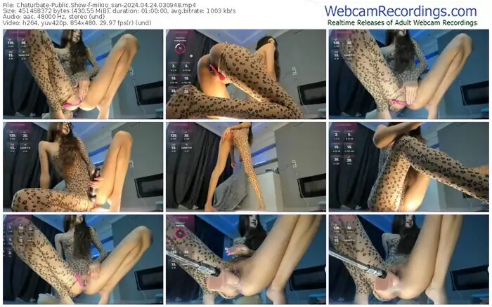 2024/04/24/chaturbate-mikio_san-03-09-48