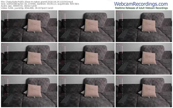 2024/04/24/chaturbate-natan_grand-10-15-43