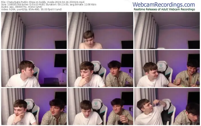 2024/04/24/chaturbate-teddy_mode-20-00-24