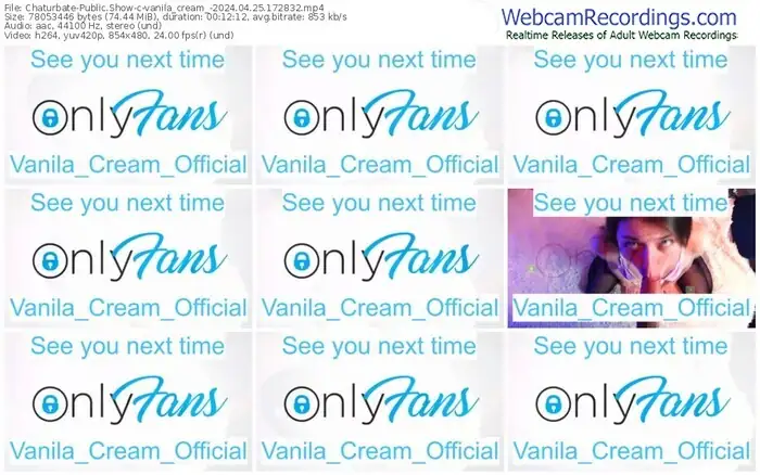 2024/04/25/chaturbate-vanila_cream_-17-28-32