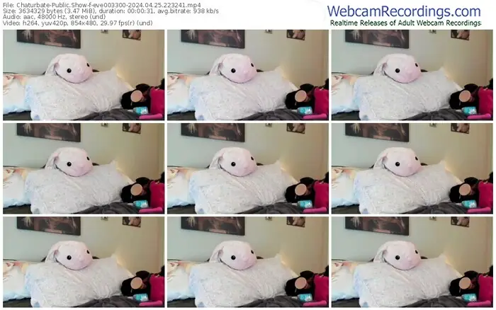 2024/04/25/chaturbate-eve003300-22-32-41