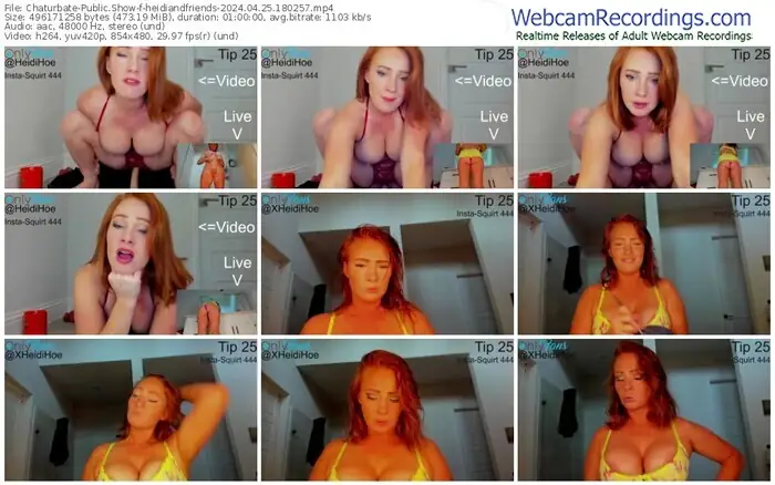 2024/04/25/chaturbate-heidiandfriends-18-02-57